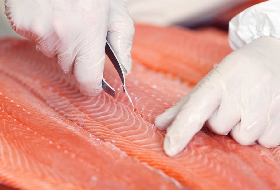 2 fish processing 144123058 2 1