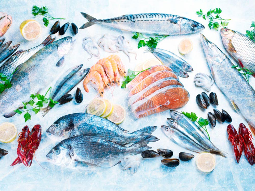 comment bien decongeler son poisson gimbert ocean