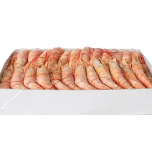 Gambon langostino austral